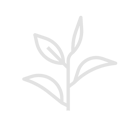 Argilla verde
